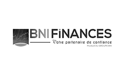 BNI-finances