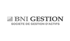 BNI-gestion